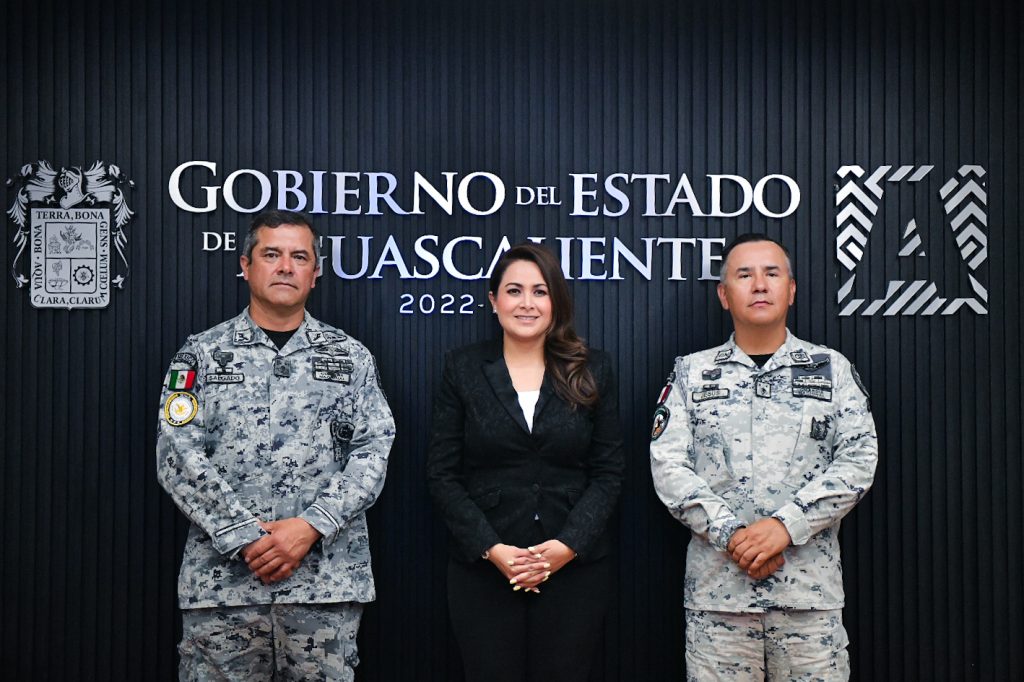 Mayor Vigilancia en Carreteras