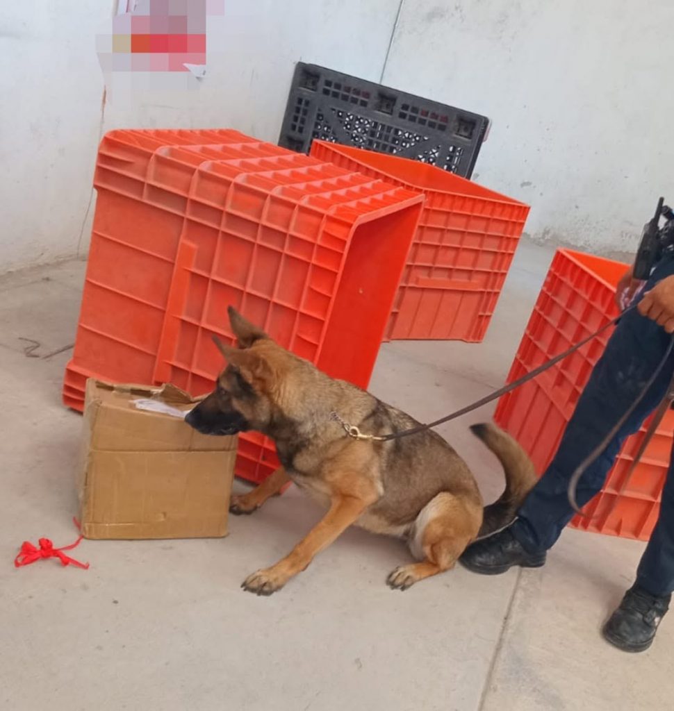 Aseguran un Kilo de Mota en Paqueteria de Aguascalientes