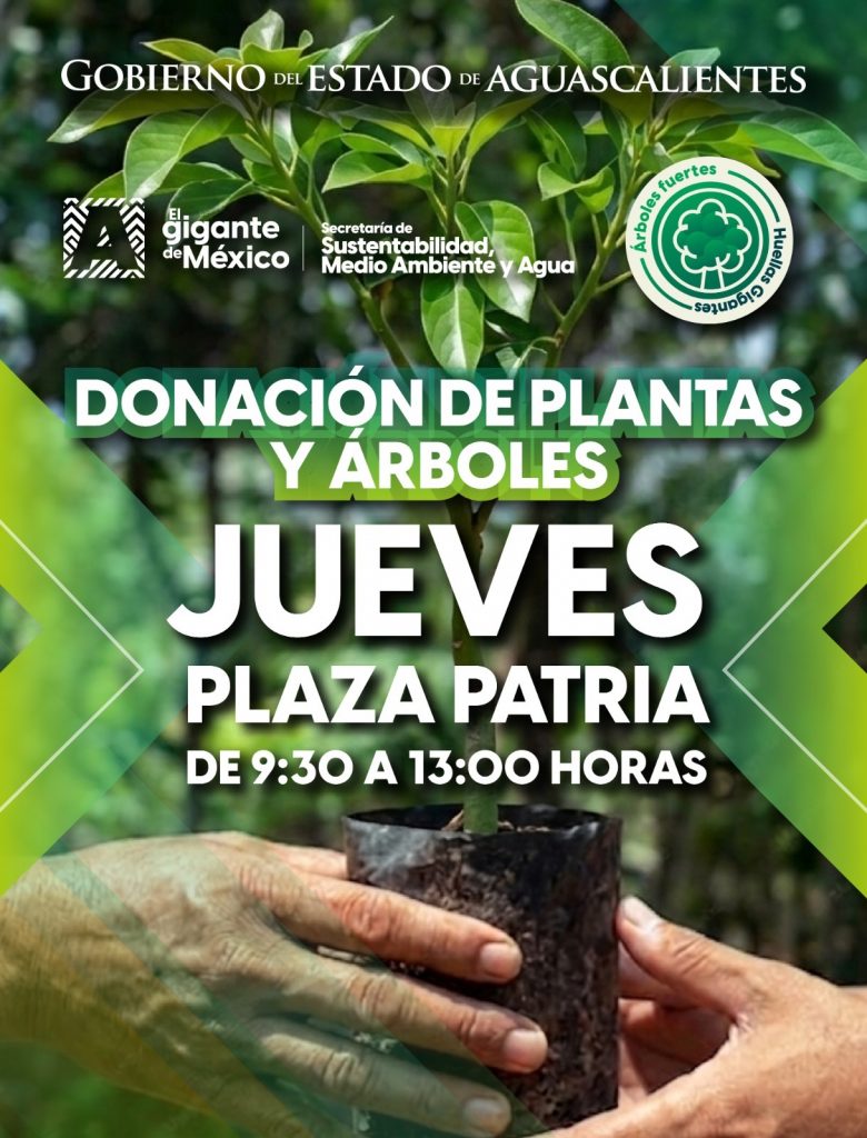 Gobierno del Estado Realiza Programa “Árboles Fuertes, Huellas Gigantes”