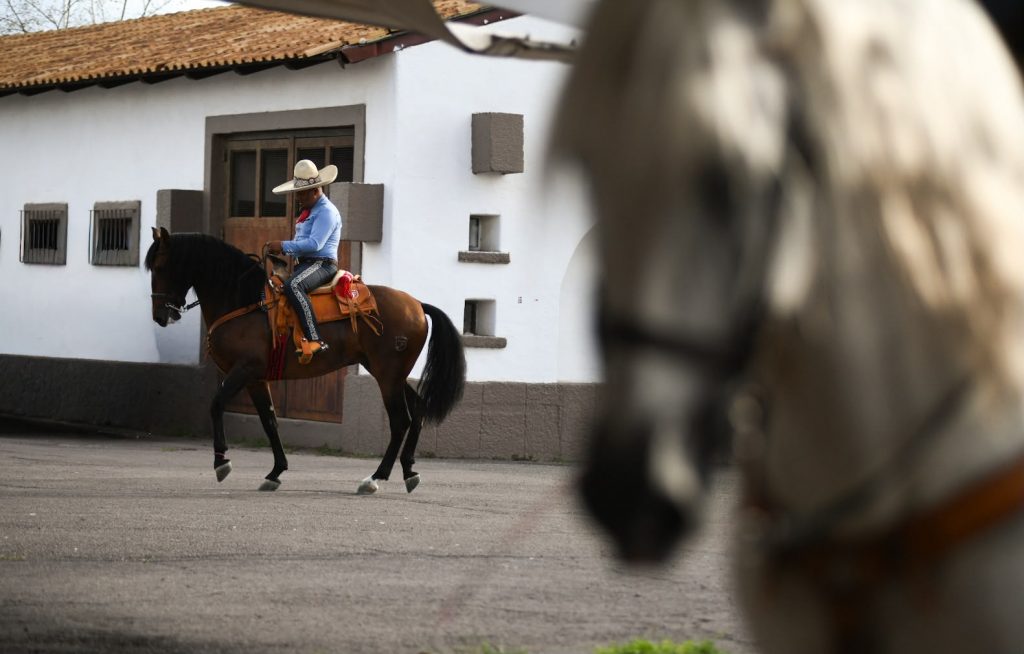 Tere Jiménez Inaugura la Feria Internacional del Caballo