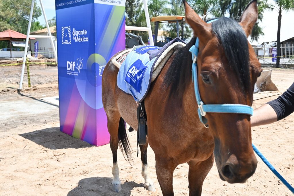 Aguascalientes Tendrá Centro de Terapia Asistida con Animales