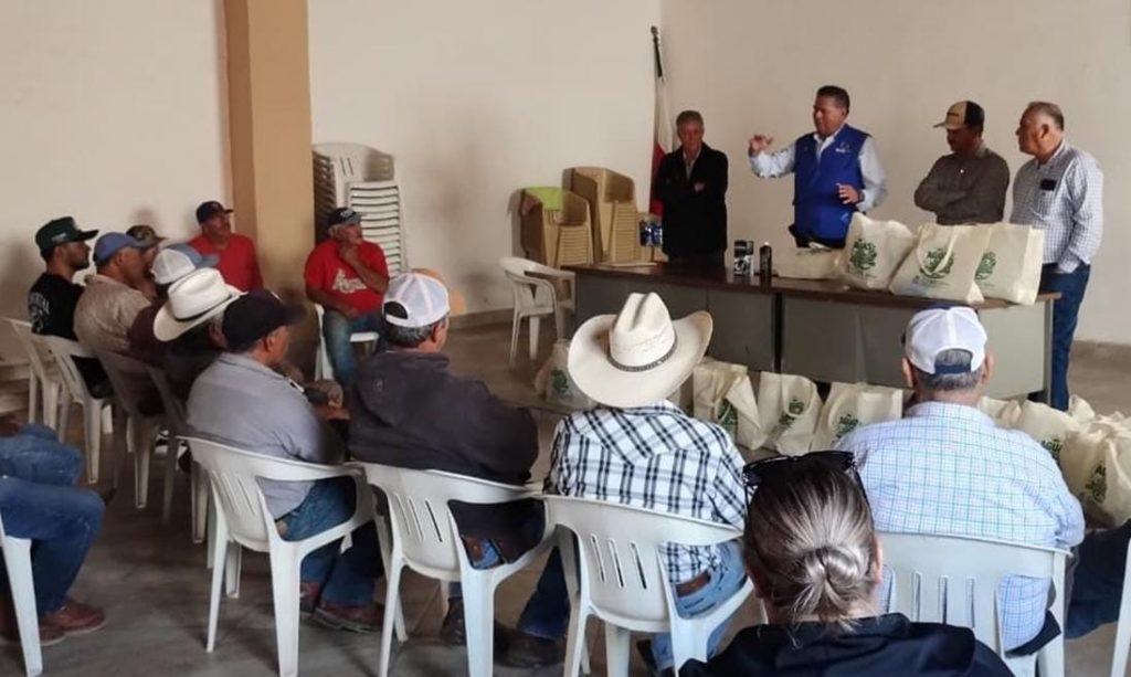 JM Fortalece Medidas Sanitarias Para Hacer Frente al Gusano Barrenador